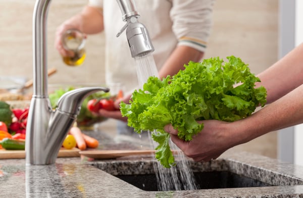 N3126VP-C Dual Spray Aerator washing lettuce